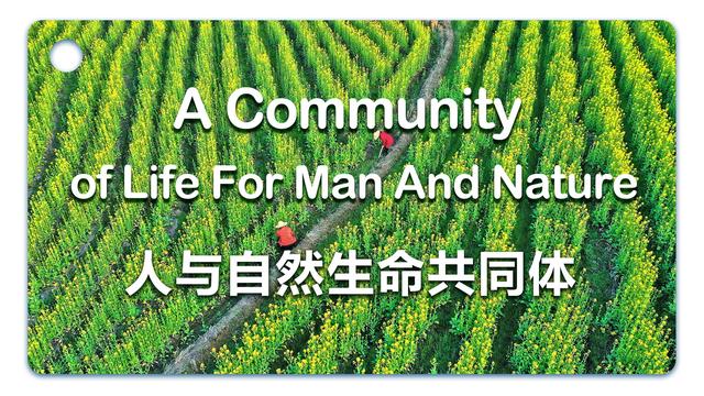 人与自然的几种关系