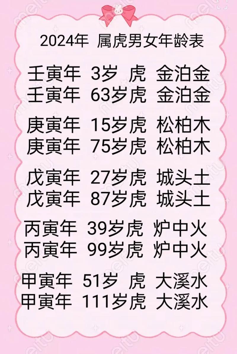 属兔人今年多大岁数