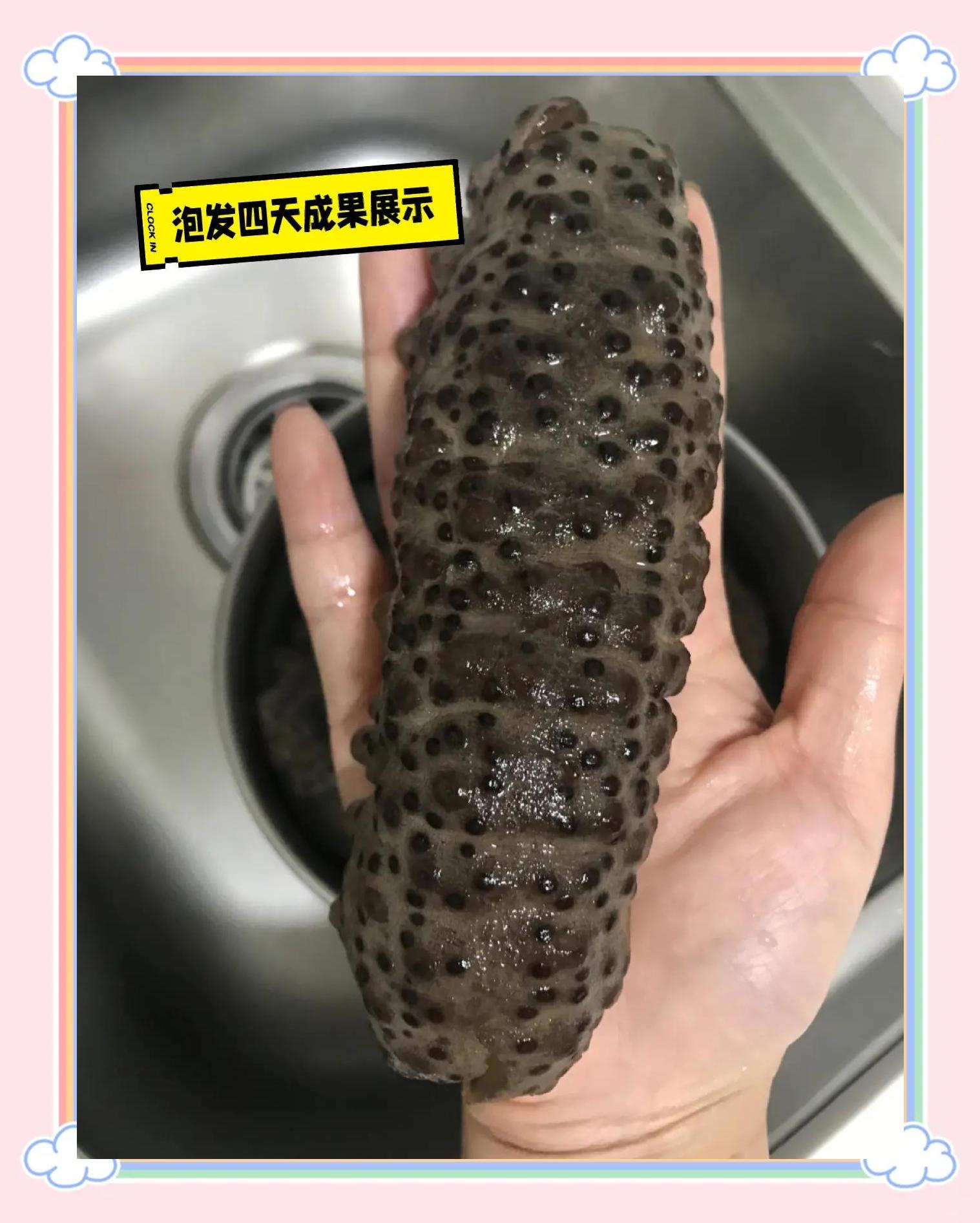 半干海参制作方法