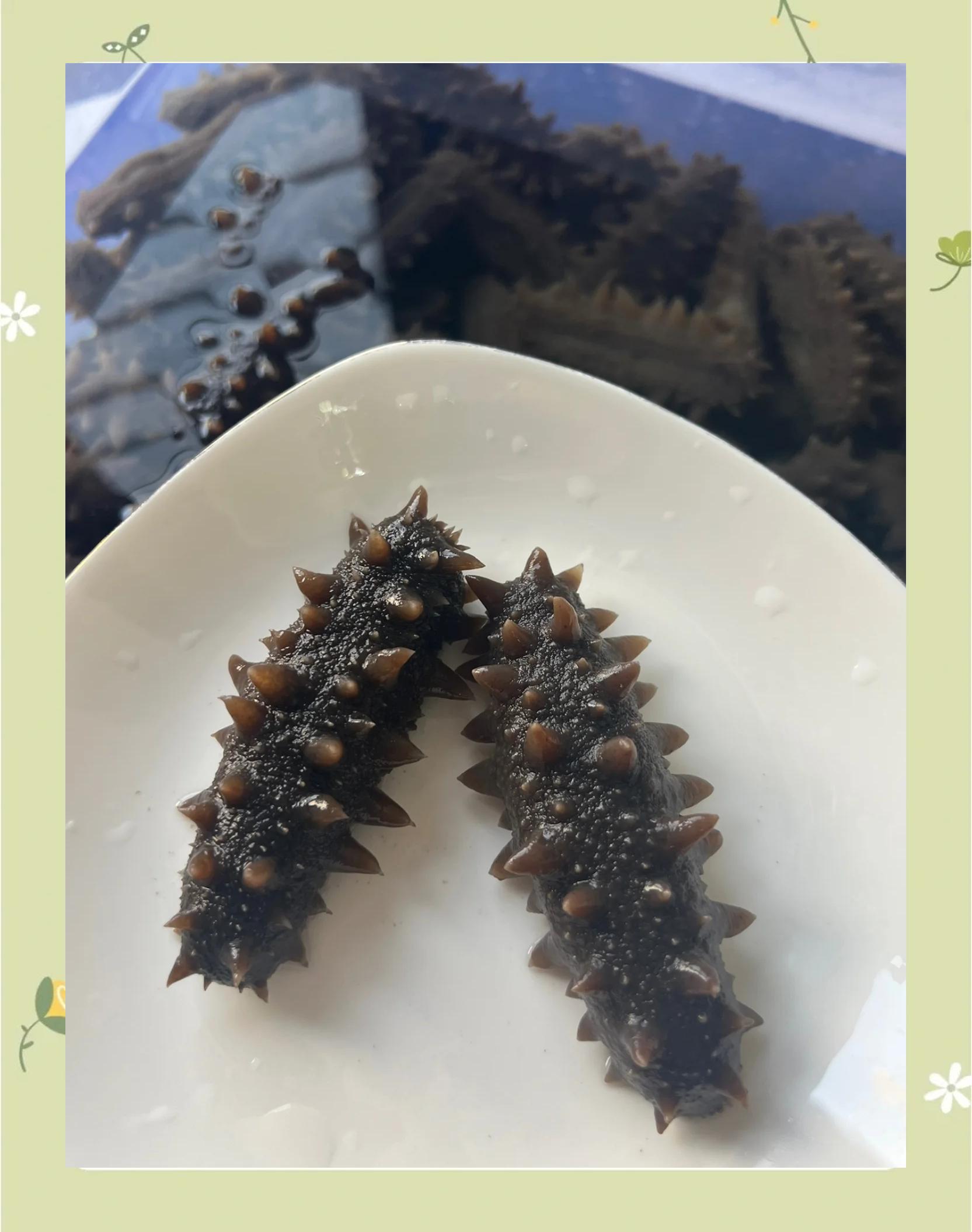 半干海参制作方法