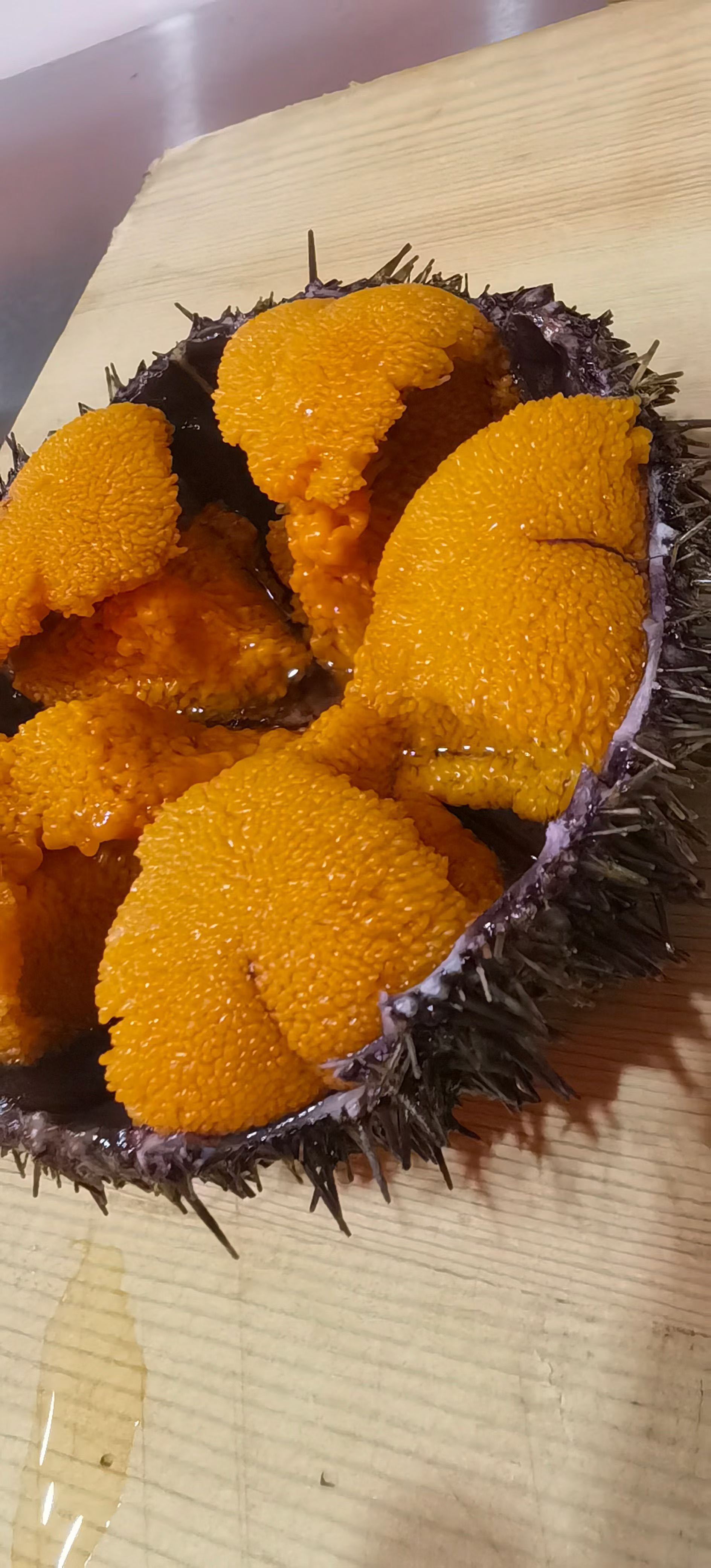 海胆多少元一斤