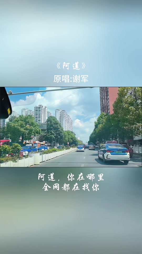 龙飞门丽亲爱的你在哪里歌词