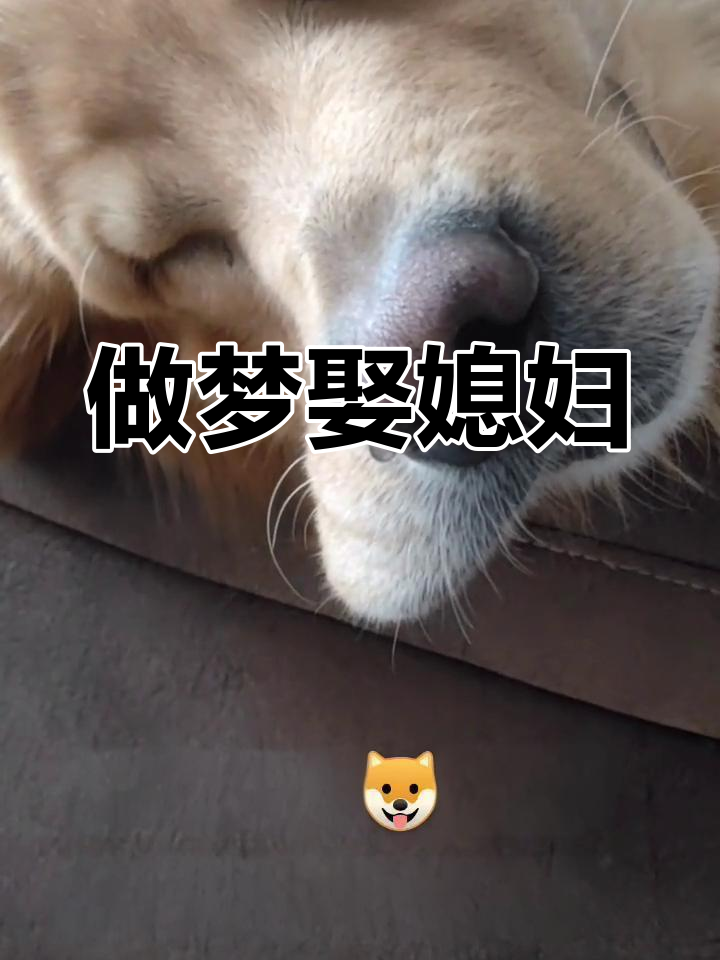 孕妇梦见别人娶媳妇是怎么回事啊