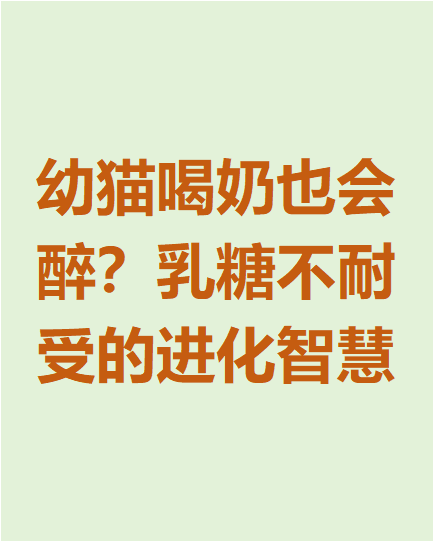 两个月的猫能不能喝牛奶