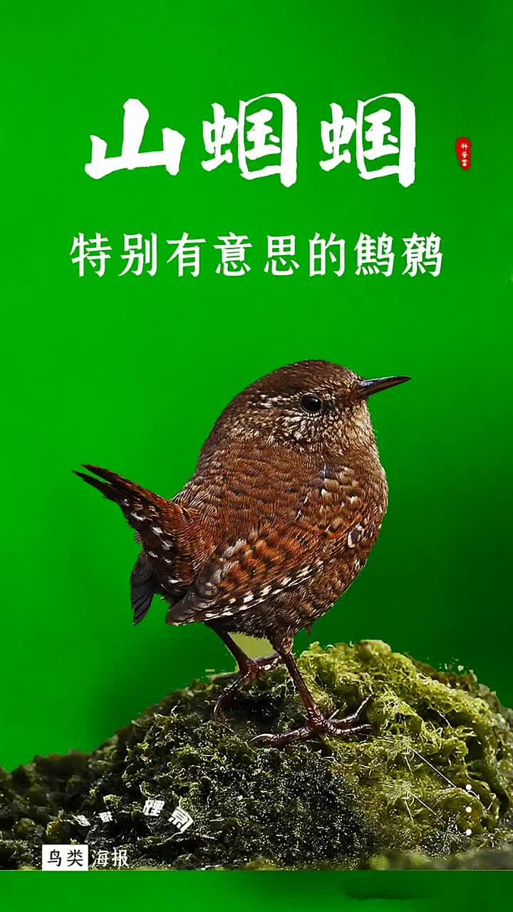 灆圊是什么意思