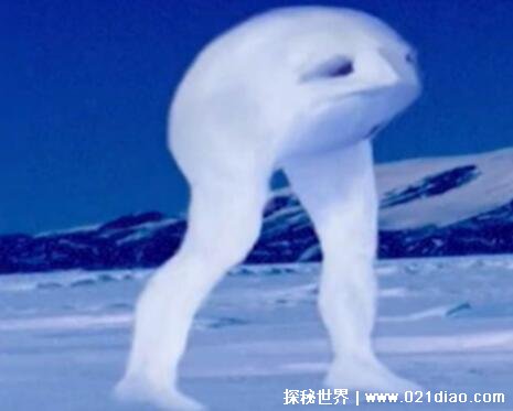 世界上真的有不明生物吗?在中国吗?