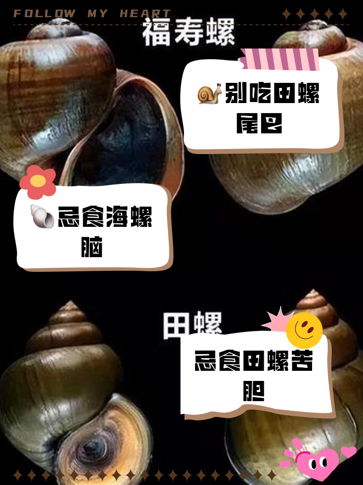 田螺吃哪个部位正确