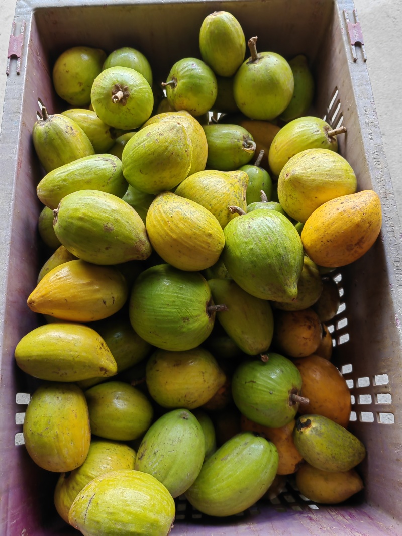 蛋黄果多少钱一斤郑州产的