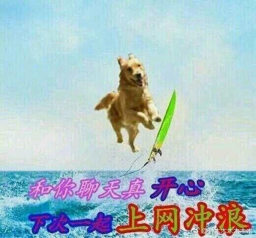 聊天中的an是什么意思