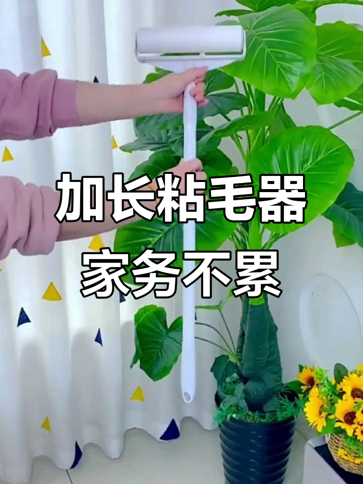 家里毛尘多怎么回事