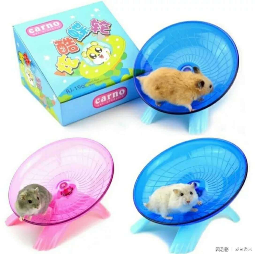 紫仓属于什么品种