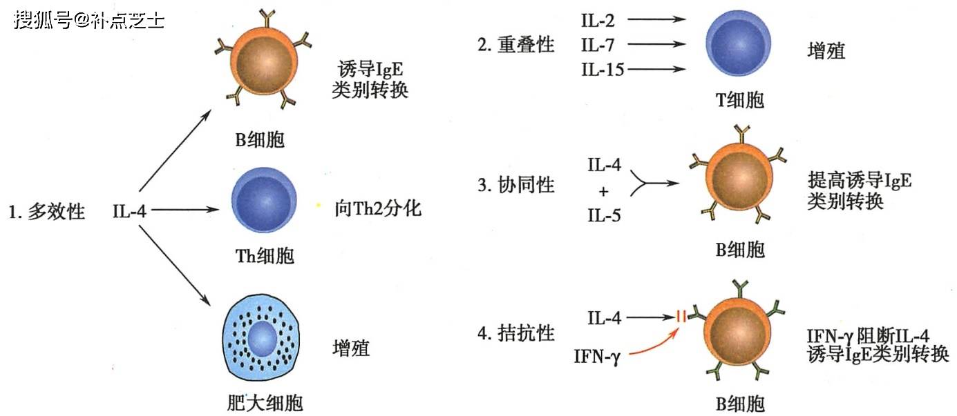 载荷因子是什么意思