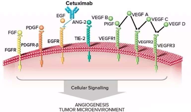 载荷因子是什么意思