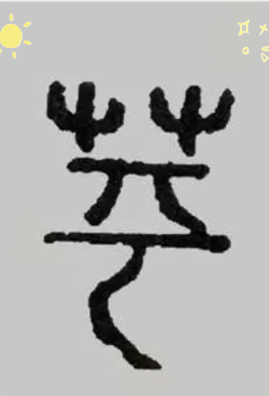 苹怎么组词简单的