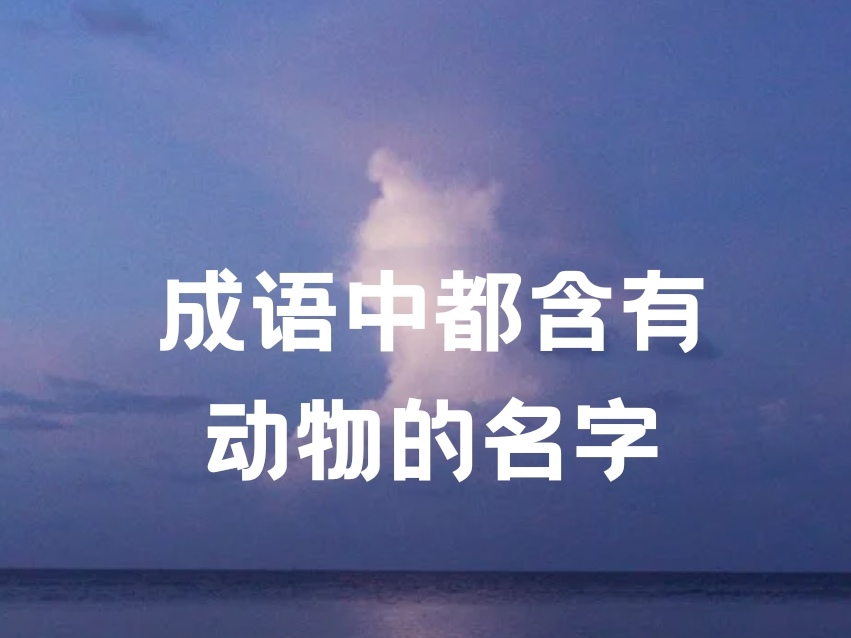 九字开头的成语全部