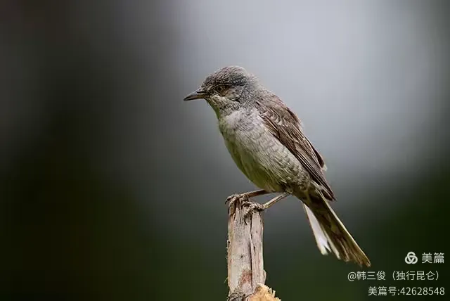 余音绕梁什么意思解释一下