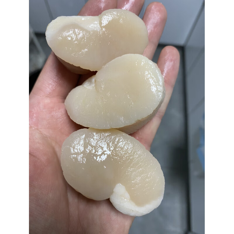 带子肉做法有哪几种