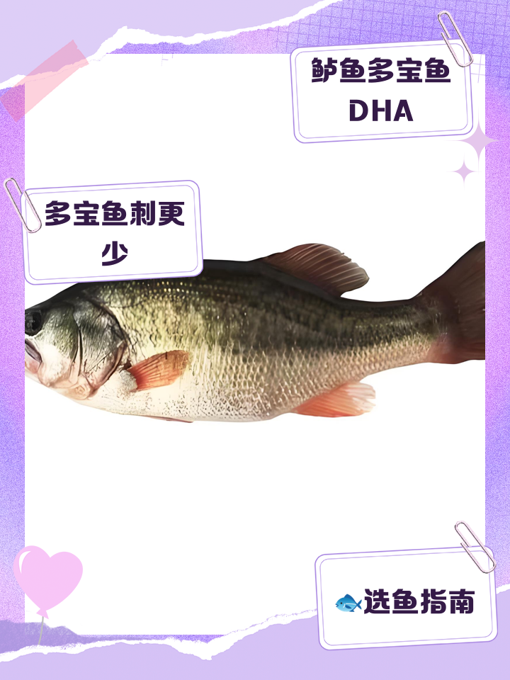 桂花鱼和鲈鱼的营养价值