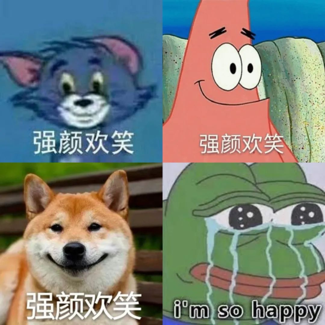 尴尬而不失礼貌的微笑指什么动物