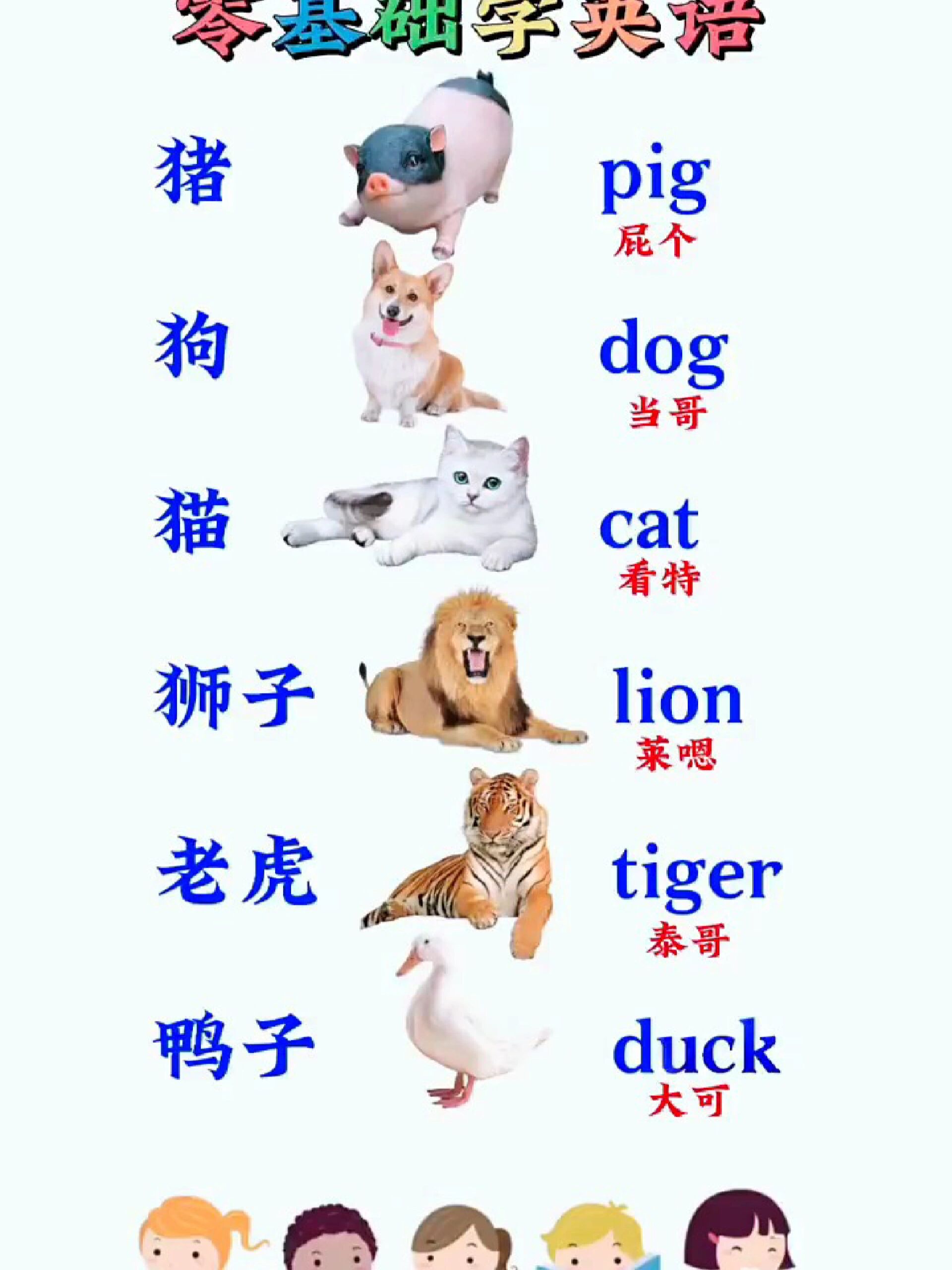 动物的单词有哪些是元音音标