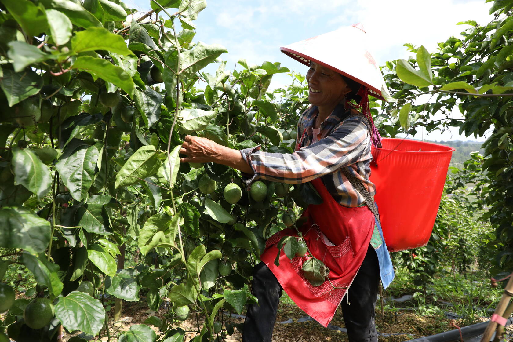 关于师宗的介绍