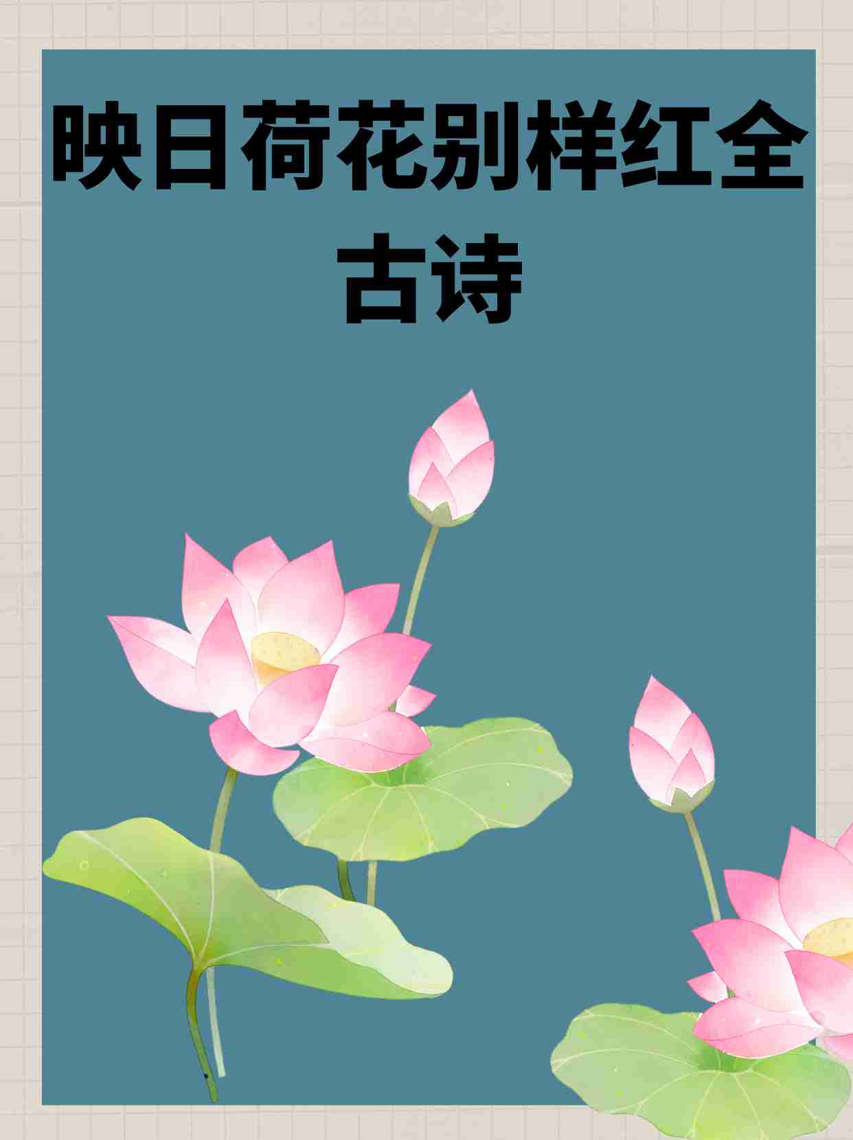 有关荷花的古诗名句