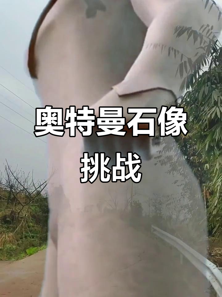 有哪些奥特曼被变成石头的