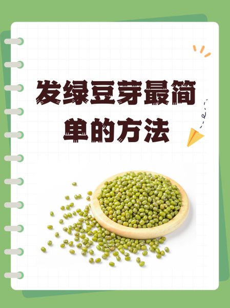 怎么发绿豆芽简单做法窍门窍门