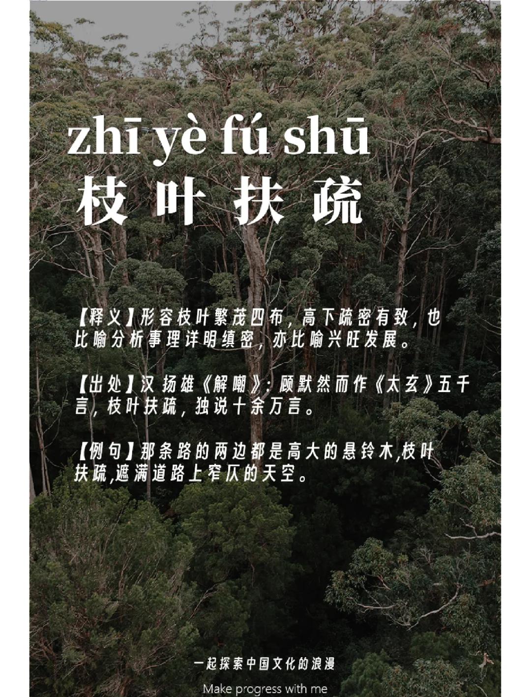 当立者乃公子扶苏是什么意思