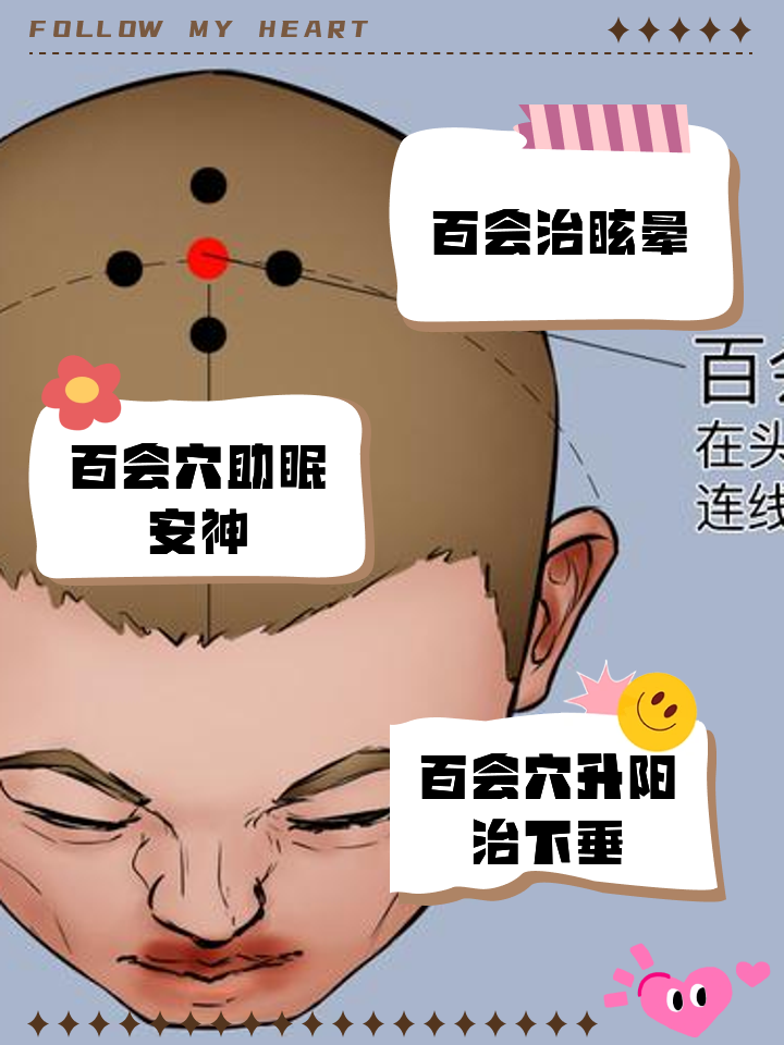 百会穴的准确位置图和作用及功效
