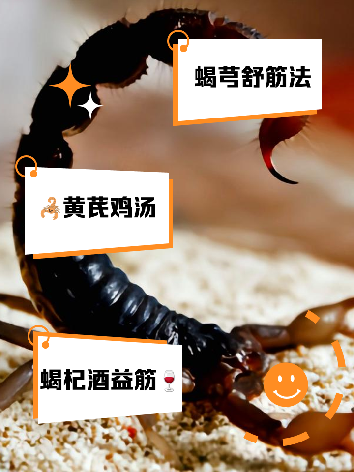 活蝎子泡酒制作过程视频