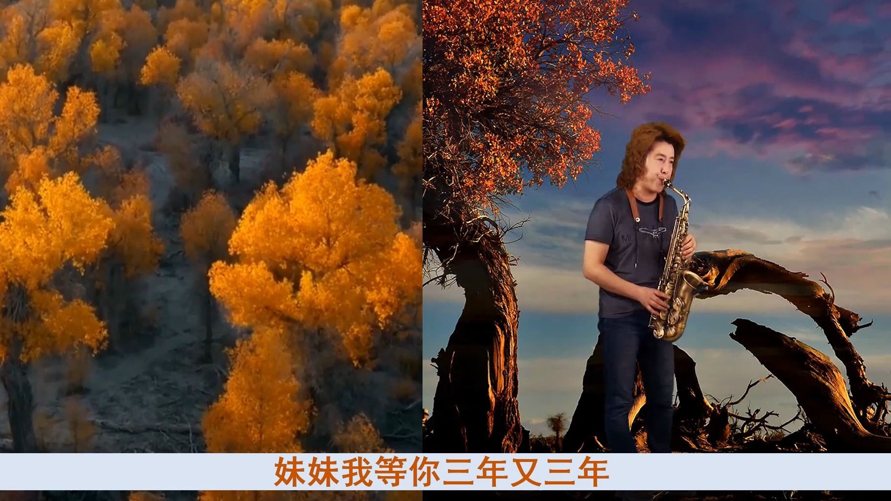 关于站着等你三千年的故事