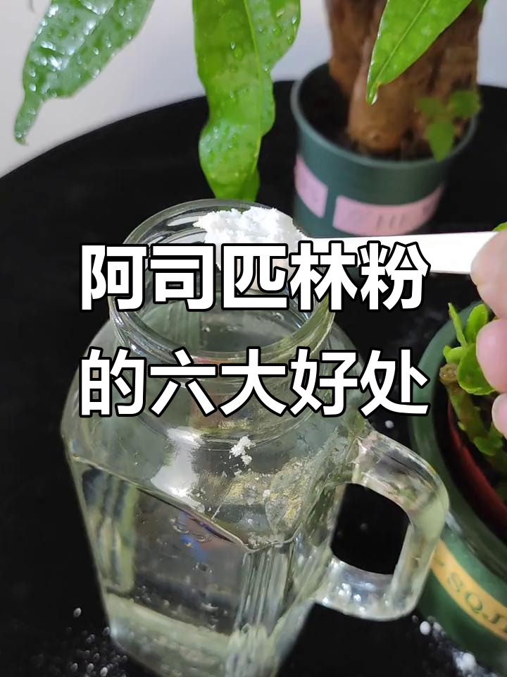 阿司匹林浇花的浓度是多少