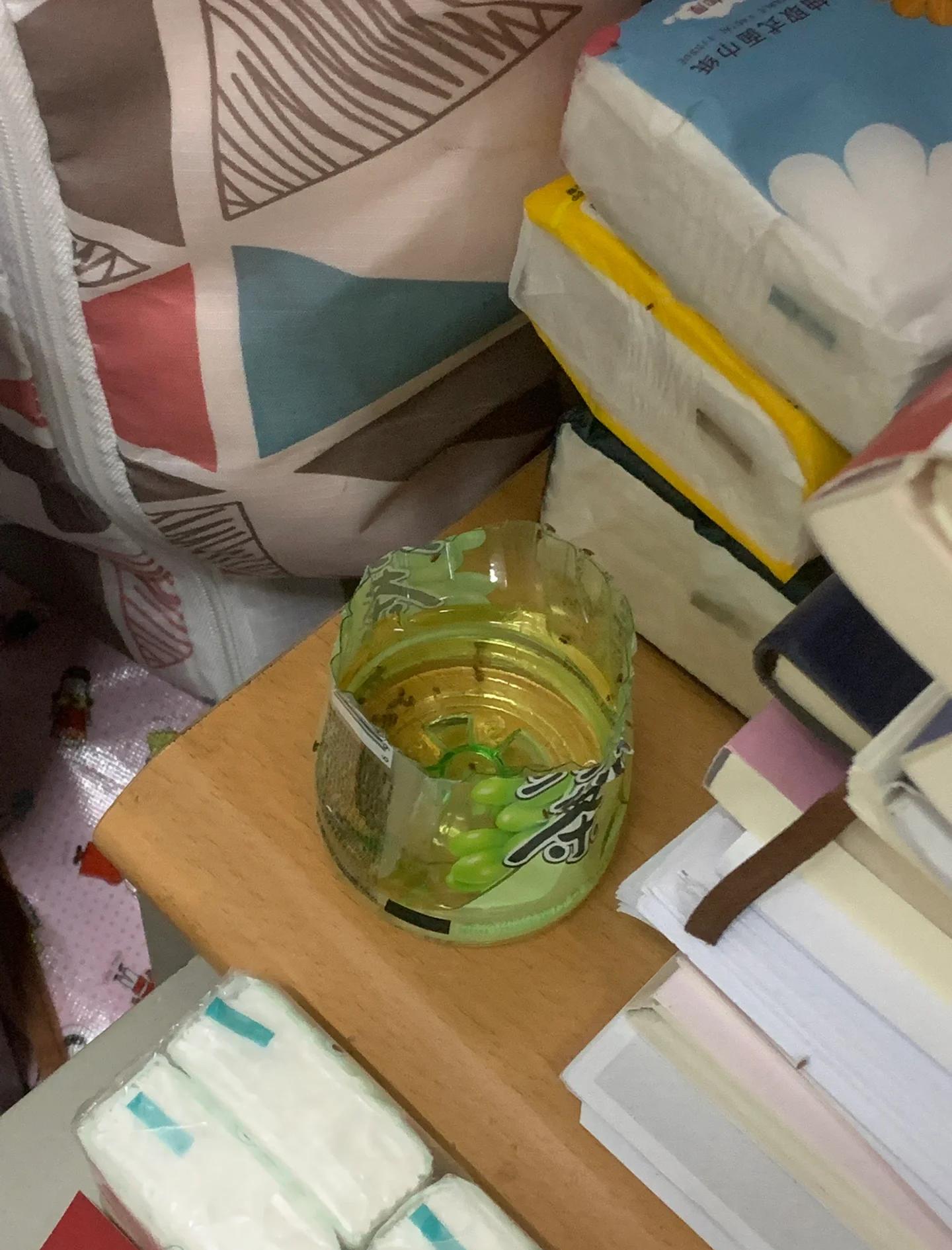 灭蝇药的制作方法