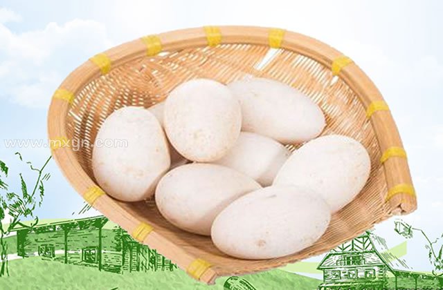梦见捡鹅蛋是坏的什么预兆