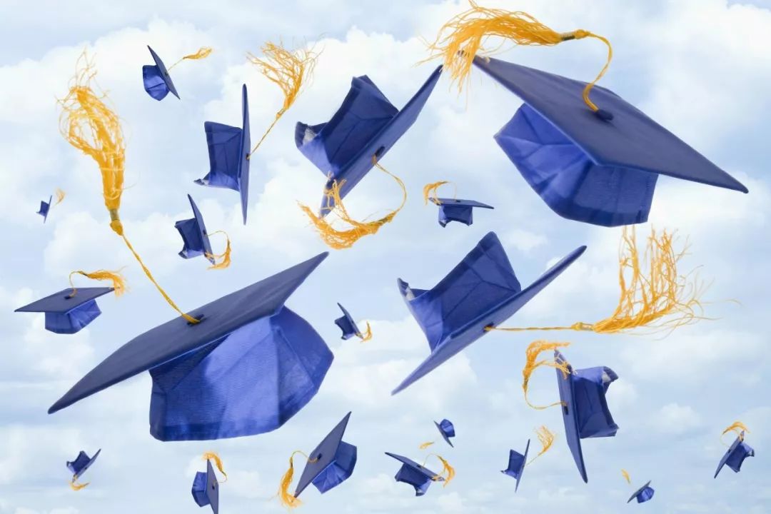 什么是双学位如何修双学位