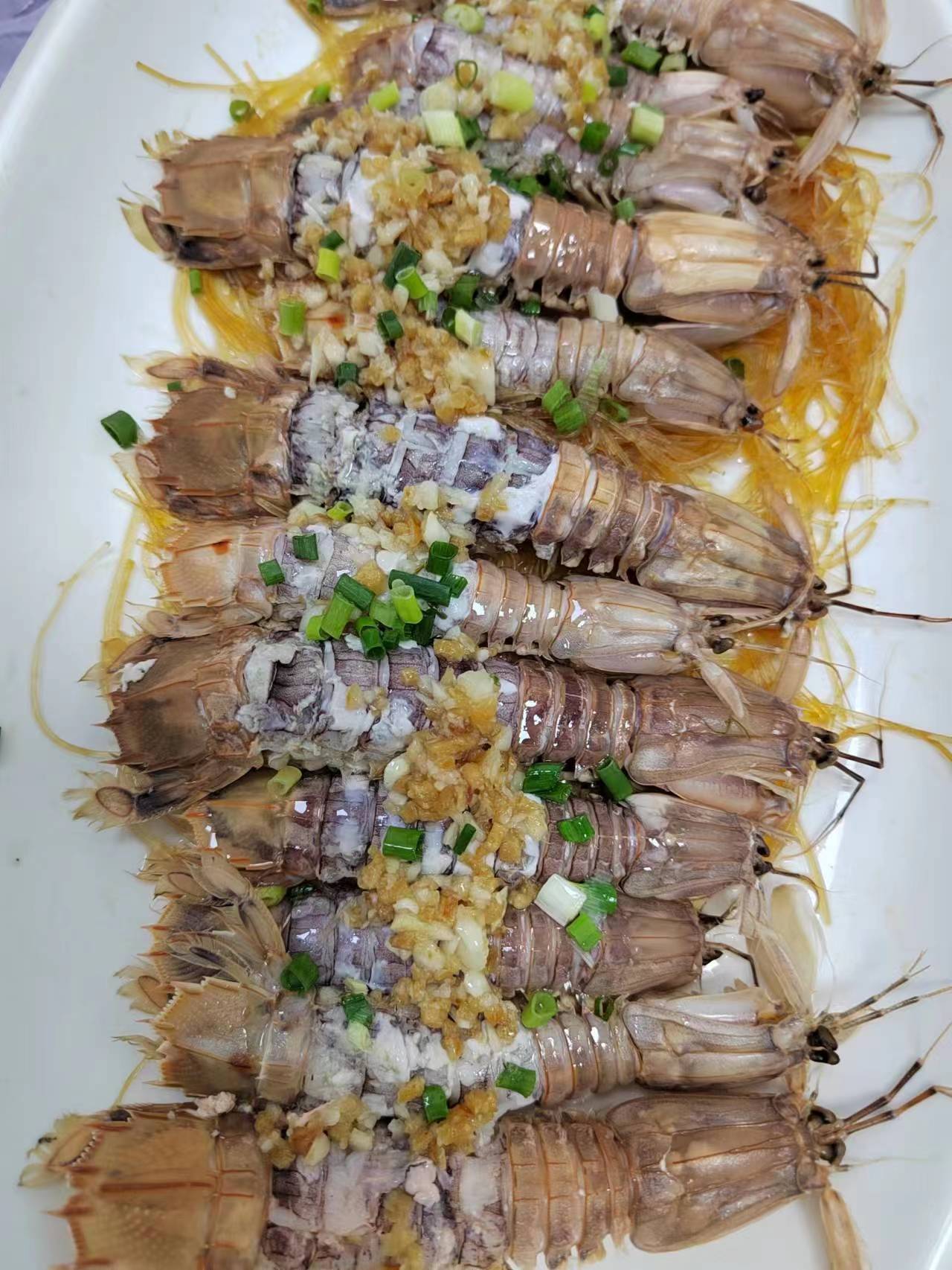 海鲜爬行动物图片和名字