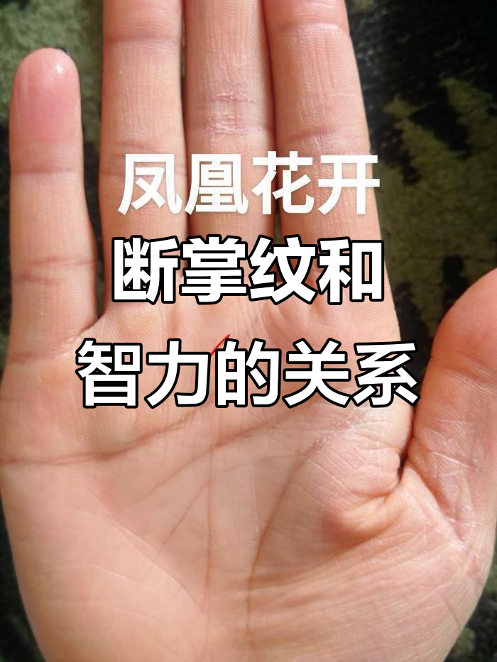 女断掌最忌三个属相