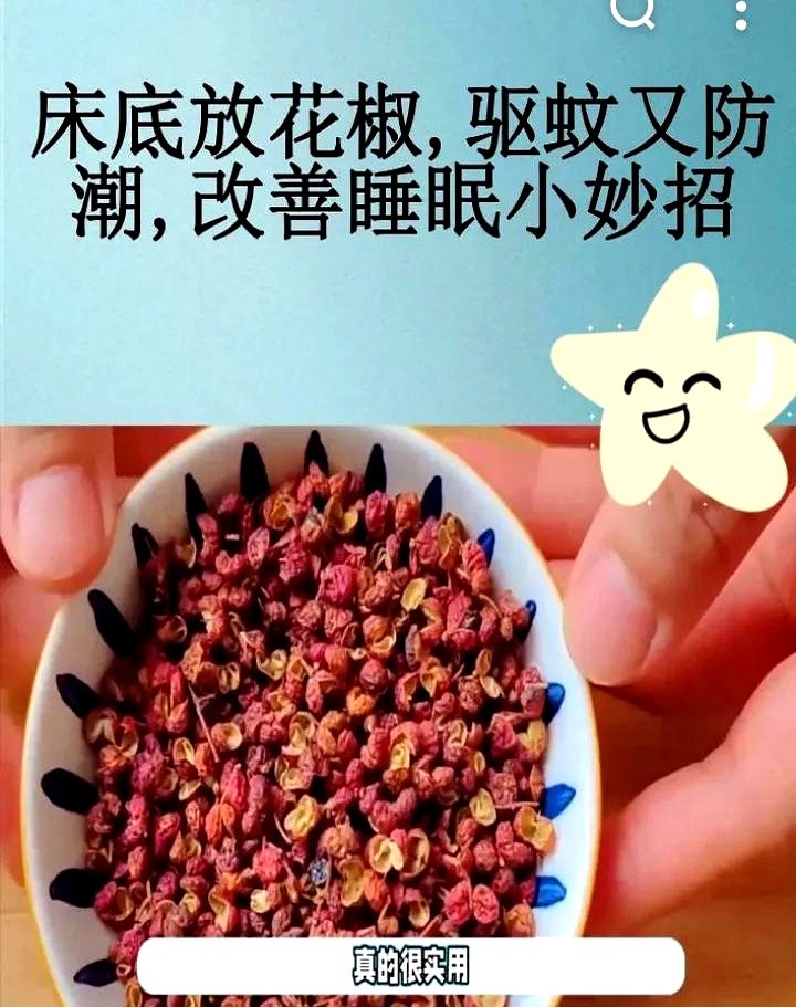 床边放什么防蚊子咬人最好