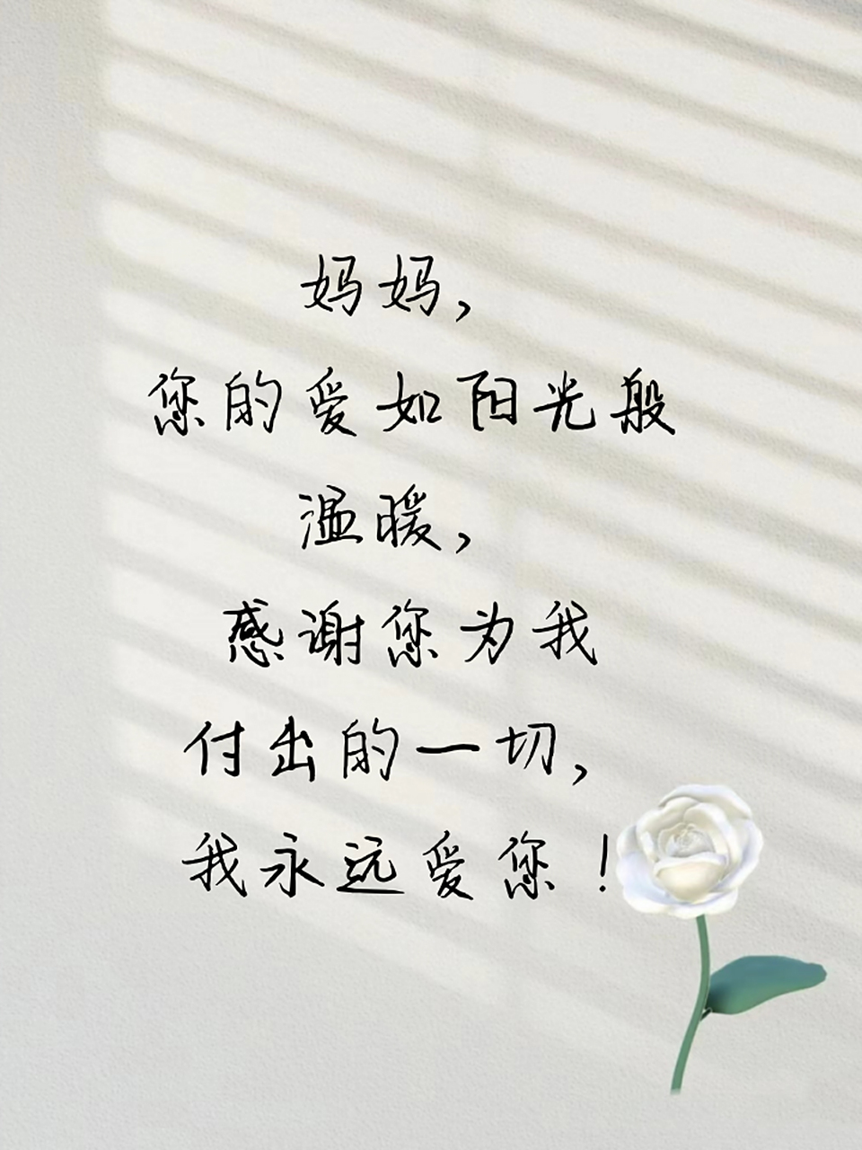 感恩母亲的优美句段