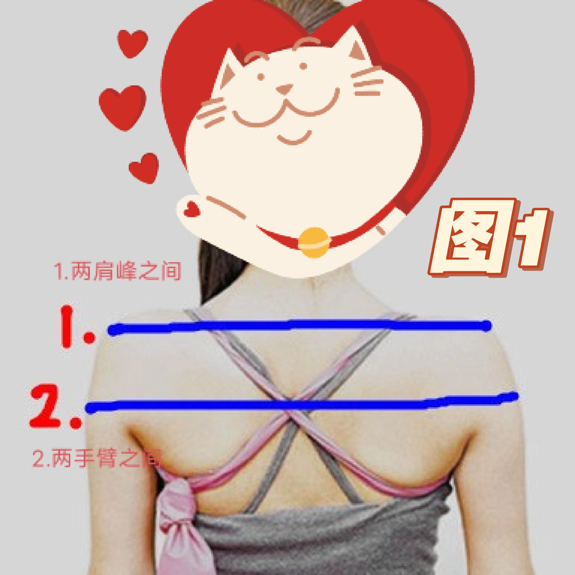 肩宽跟骨架大小有关系吗