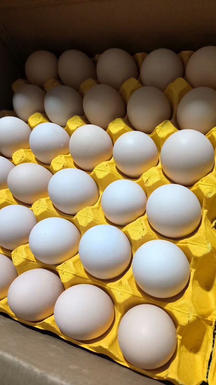 染红鸡蛋的红粉能吃吗