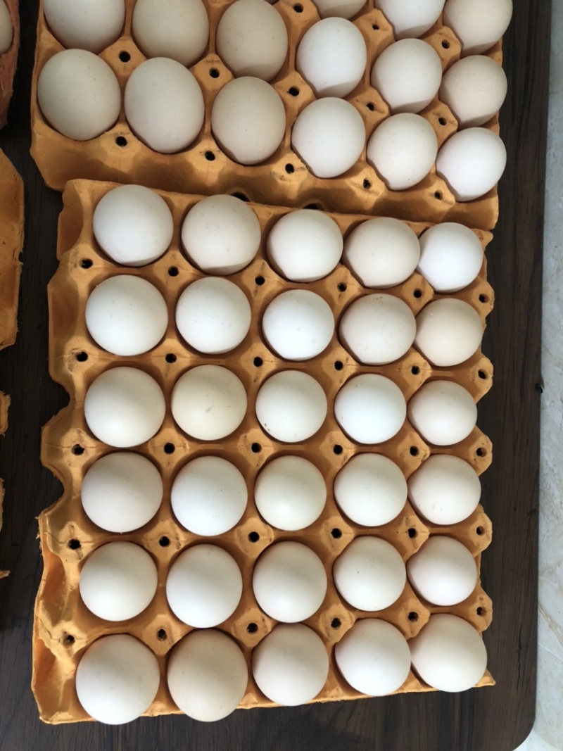 染红鸡蛋的红粉能吃吗