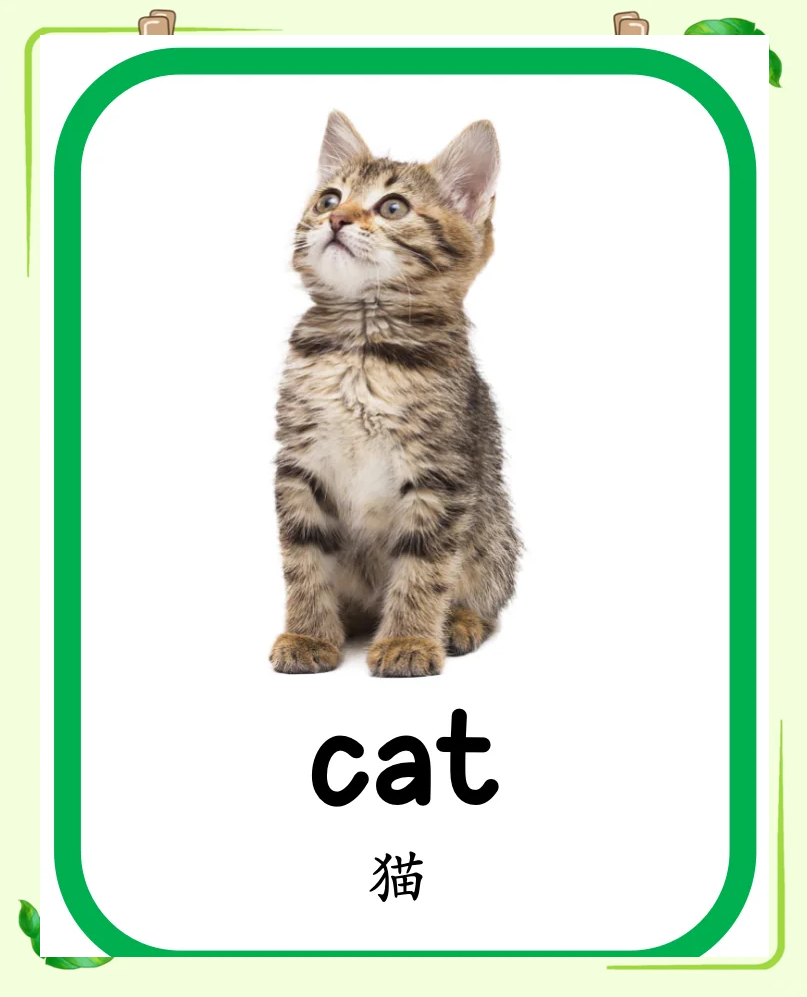 可爱的用英文单词怎么写