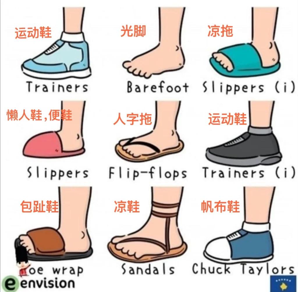shoes是什么意思中文翻译文翻译