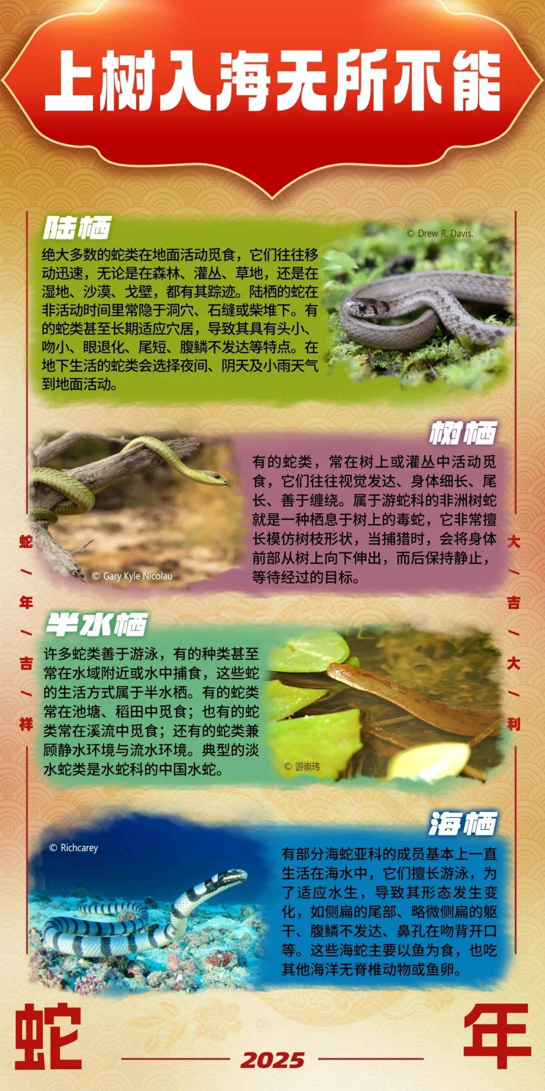 家里进蛇意味着什么