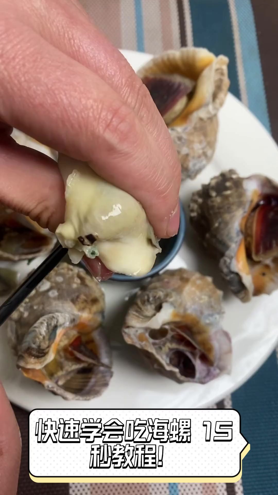 海螺做法大全家常做法