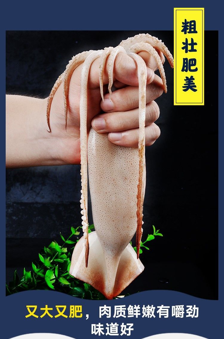 生鱿鱼如何处理干净