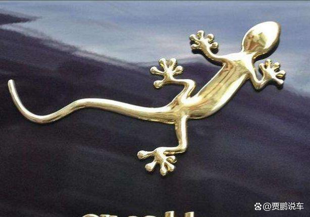 车上壁虎啥意思