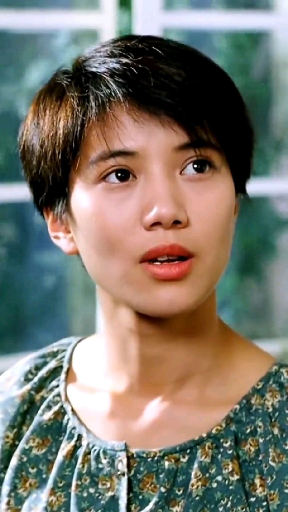 袁咏仪饰演的电视剧